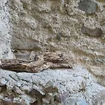 Casa Holamundo Дом отдыха