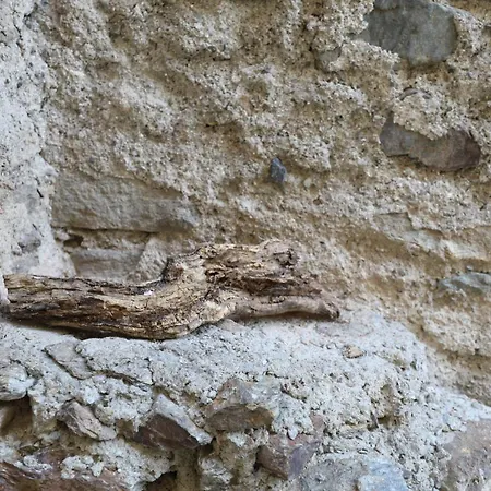 Casa Holamundo Nyaraló