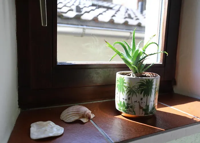 Casa Holamundo 別荘