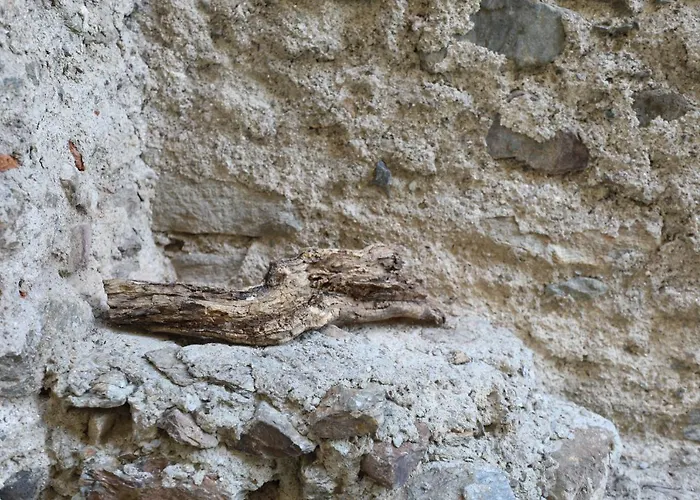 Casa Holamundo Dom wakacyjny